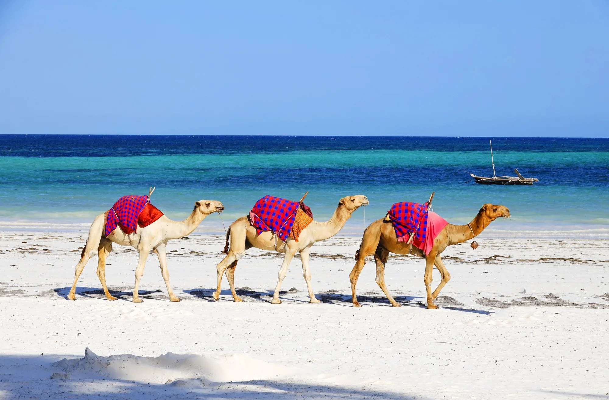 Discover the best places to stay, must-do activities, and expert travel tips to make the most of your Mombasa getaway.